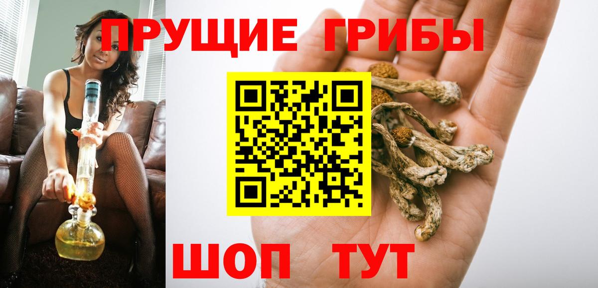 Псилоцибиновые грибы Cubensis Ноябрьск